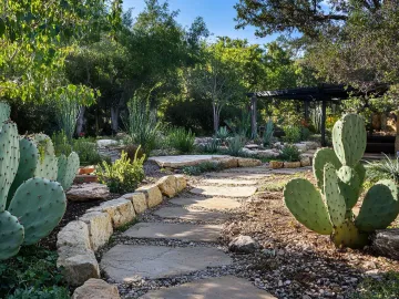 Cactus garden oasis · Midtown