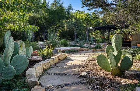 Custom desert landscape design with layered plantings