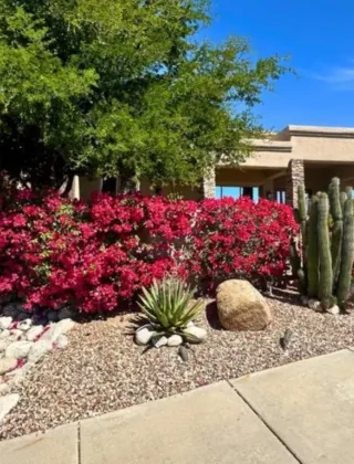 After — Oro Valley – Tucson