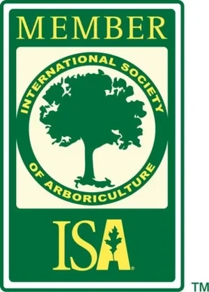 International Society of Arboriculture member