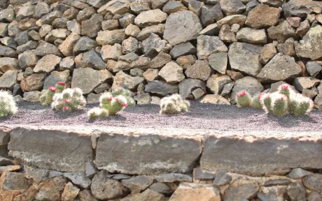 Decorative landscaping rock and gravel