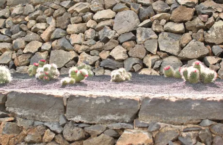 Close-up of decorative landscaping rock and gravel