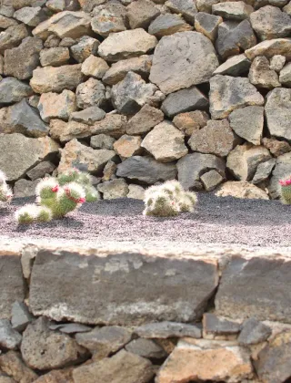 Before — Oro Valley – Tucson