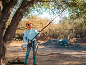 Certified tree care · East Side