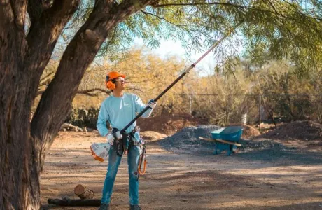 Crew member trimming tree branches with a pole saw